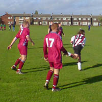 Toddy's 11-a-side 2001-2002 Toddy's 11-a-side 2001-2002