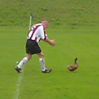 Toddy's 11-a-side 2001-2002 Toddy's 11-a-side 2001-2002