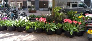 Netherlands Tour report: One win out of four games.